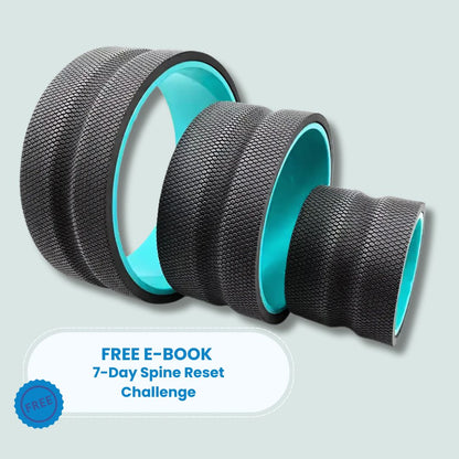 Pluxi Wheel 3er-Pack