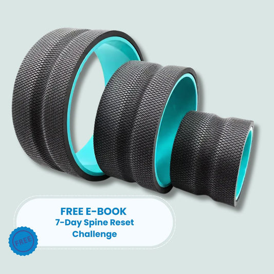 Pluxi Wheel 3er-Pack